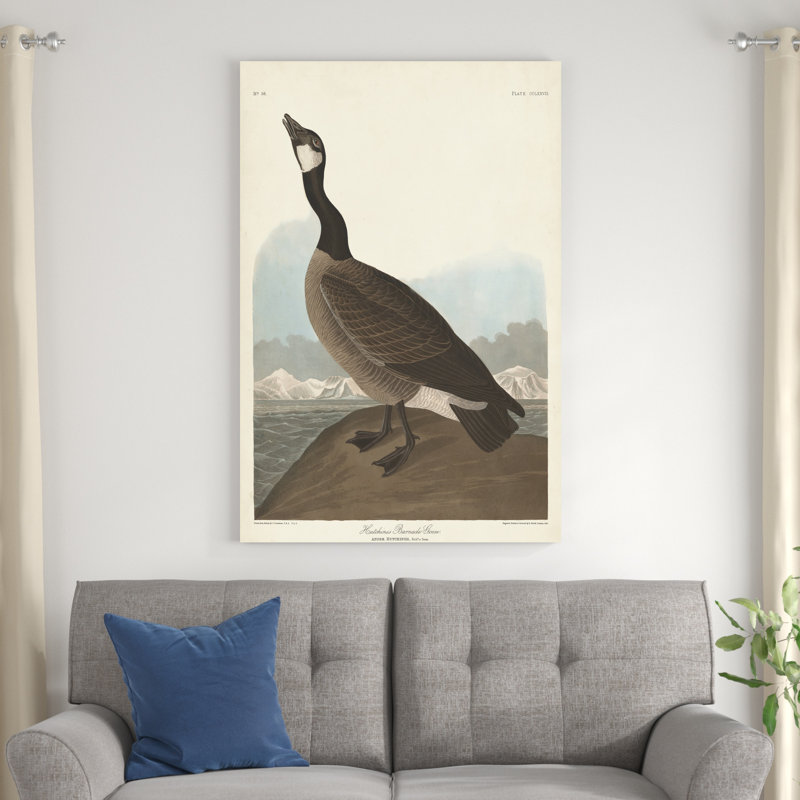 Pl 277 Hutchinss Barnacle Goose, H 48 po x l 32 po