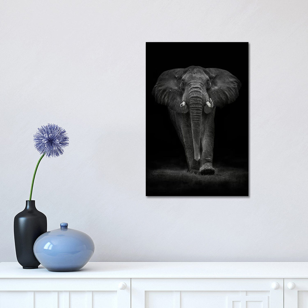 Ngorongoro Bull by Mario Moreno - Print on Canvas