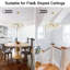 1 - Light Chandelier-146930476