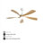 Prana 52'' Ceiling Fan with LED Lights-1107817980