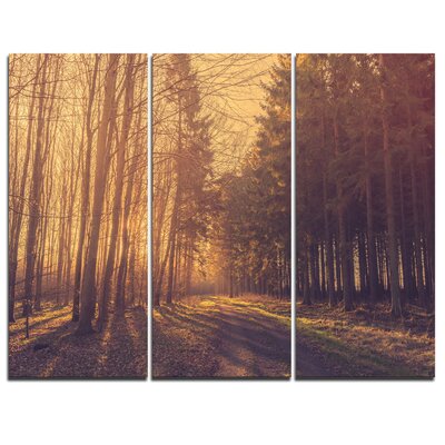 Pine Tree Forest by Road - 3 Piece Photographic Print on Wrapped Canvas Set -  Design Art, PT9757-3P