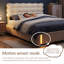 Ottoman Bed-135705770