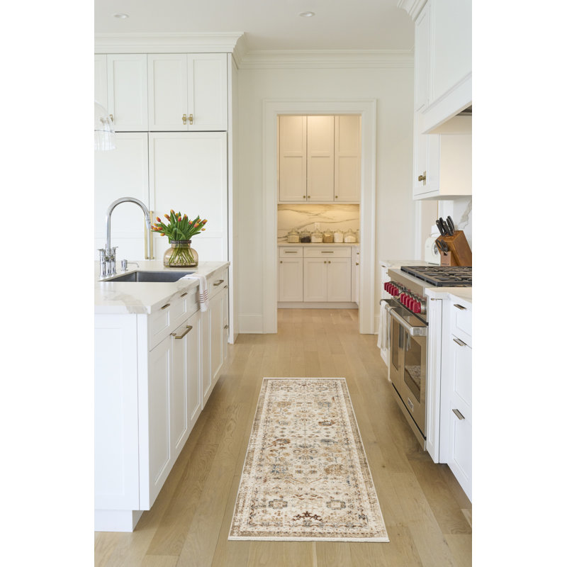 Yenier 2' x 6' Ivory Rust Vintage Indoor Rug, Runner 2' x 6'