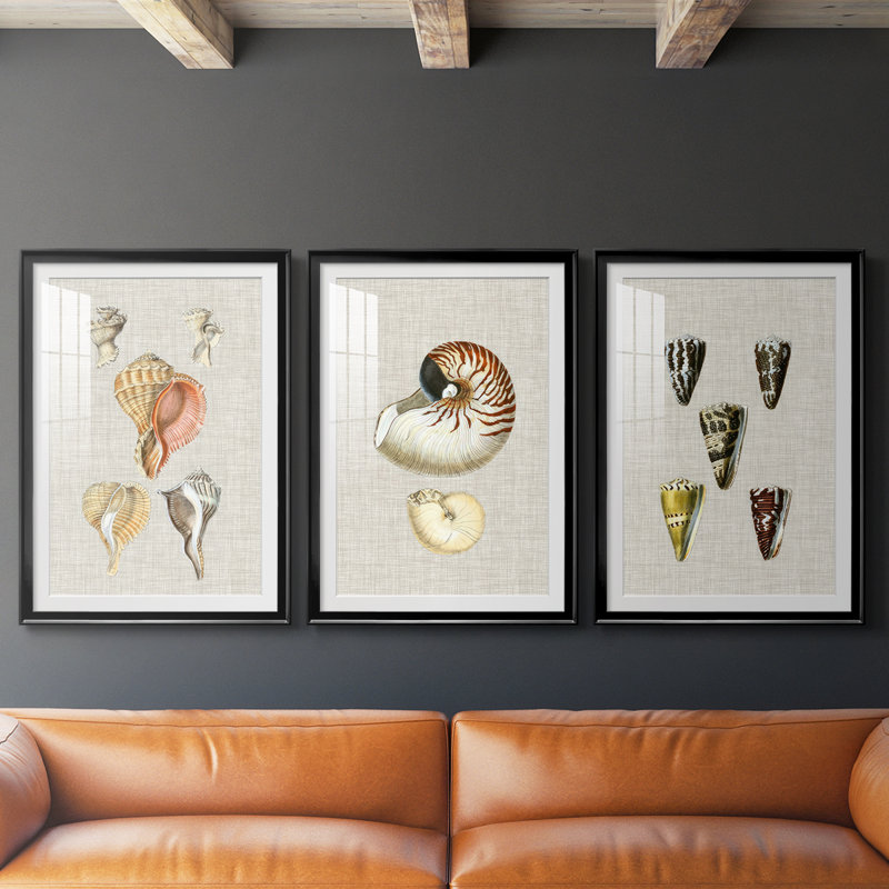 Coquilles antiques sur lin VI - impression sur mesure encadrée de qualité supérieure - 3 pièces, Noir, H 21 po x l 30 po