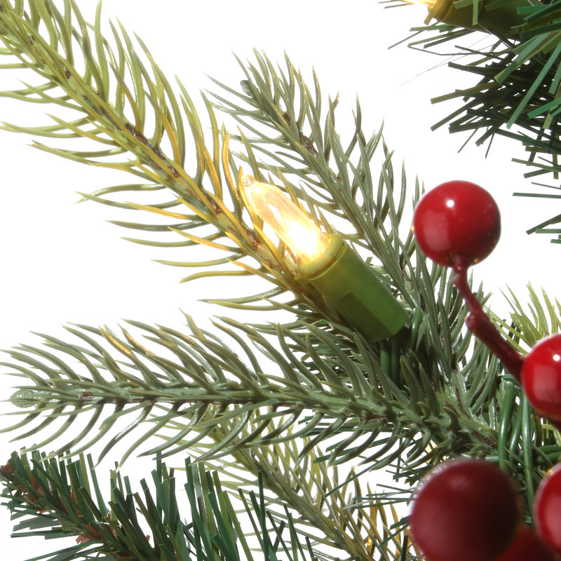 Sapin d'entrée 4 pi avec lumières DEL The Holiday Aisle® First Traditions Scotch Creek