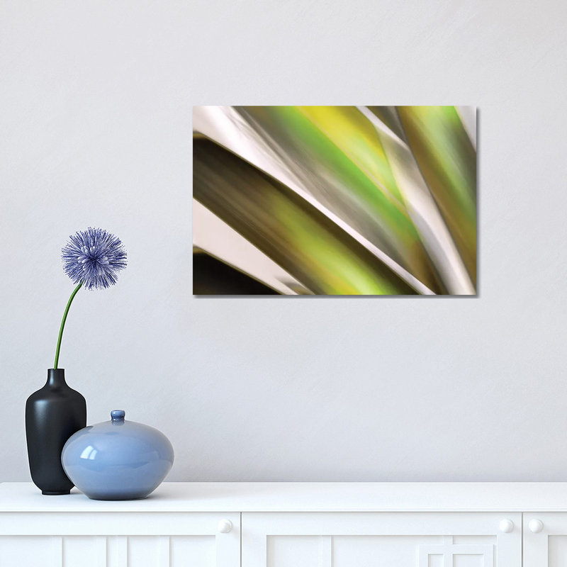 Organic VI by PI Studio - Wrapped Canvas Painting, 30.48 cm H x 45.72 cm W