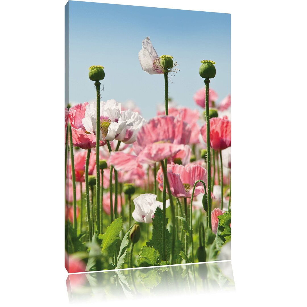 Leinwandbild Blumenwiese Mohnblumen, Fotodruck