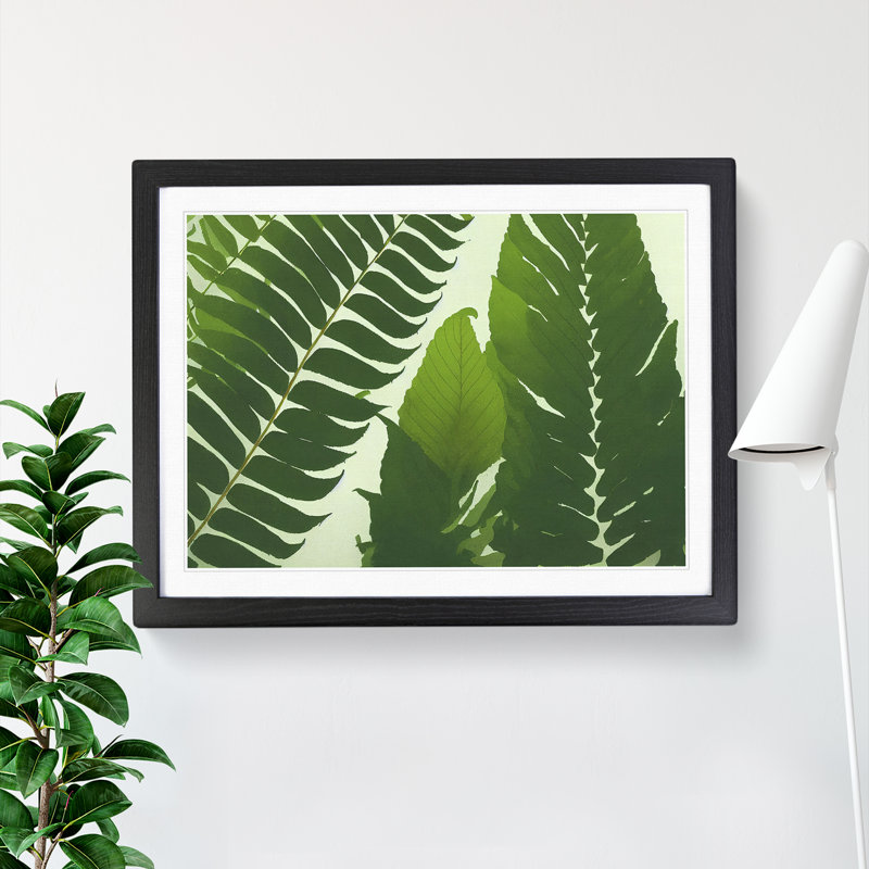 Contoured Fern Leaf - Single Picture Frame Print, Black, 46cm H x 64cm W x 2cm D