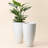 Staebell Tapered Planter-323520582-361631839