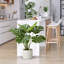 21'' Faux Evergreen Plant in Cement Pot-1204801071