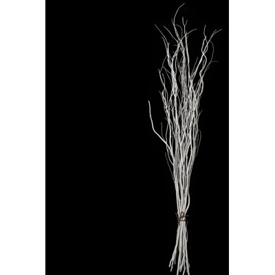Seaford Willow Branches