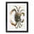 Black Framed selected