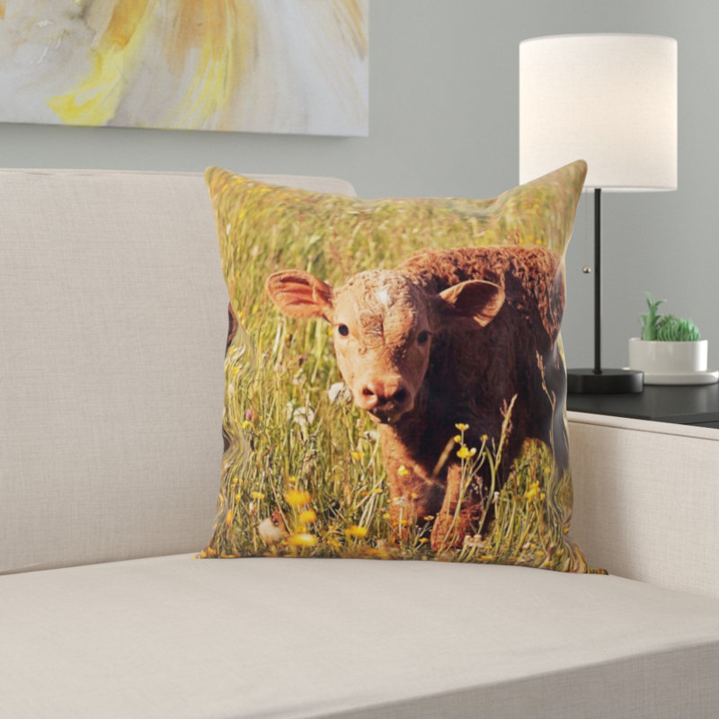 Coussin de veau