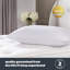 Silentnight Luxury Anti Snore Pillow Pair with Quilted Cover