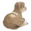 Bébé agneau couché-50844492