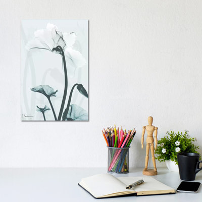 Desired Cyclamen II by Albert Koetsier - Wrapped Canvas Print