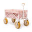 Folding Beach Cart-93020065