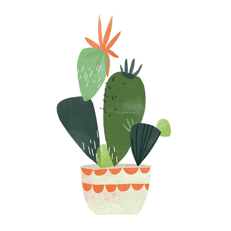 Happy Plants IV, H 18 po x l 12 po