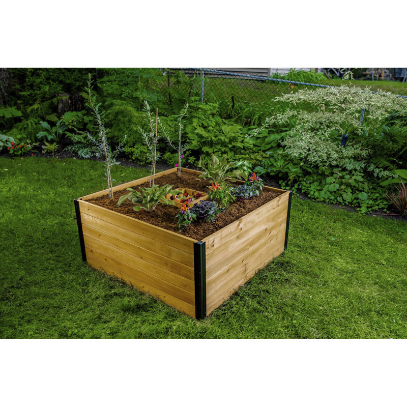 Lit de jardin surélevé en bois Mezza, H 22 po x l 48 po x P 48 po