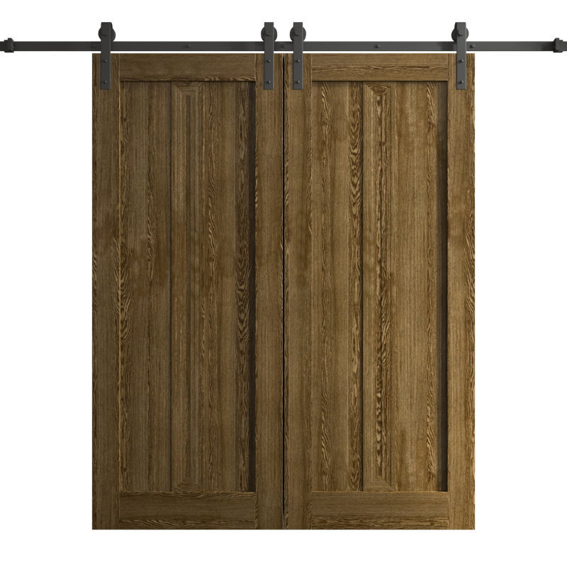 Porte de grange double moderne | Ego 5006 | Ensemble de rails | Portes intérieures solides, Chêne marbré, 60 po x 96 po