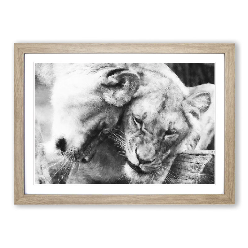 Two Snuggling Lions - Single Picture Frame Print on MDF, Oak, 62cm H x 87cm W x 2cm D