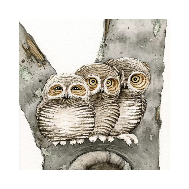 Three Owls by Tracy Lizotte - Painting on Canvas, 66.04cm H x 66.04cm W x 3.81cm D, Wrapped Canvas