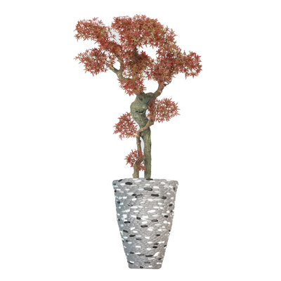 57 po H Bonsai Real-touch