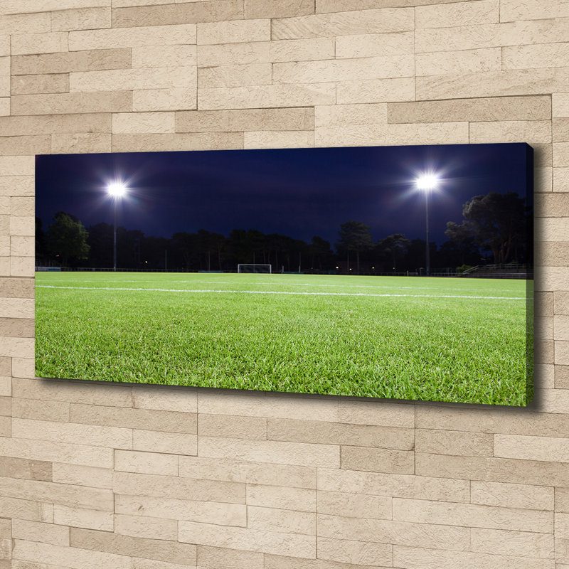 Football Turf - No Frame Print, Canvas, 50cm H x 125cm W