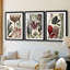Coral & Seaweed Montage I - Impression sur mesure encadrée de qualité supérieure - 3 pièces-1156827205-1156827207