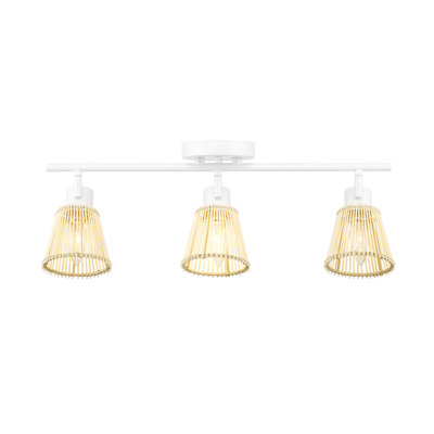 Afreena 3 -Light Fixed Track Track Kit with Dimmable and Adjustable Head