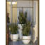 Pot de fleurs en résine Vases-49046906