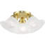 Verre directionnel et projecteur-87382260