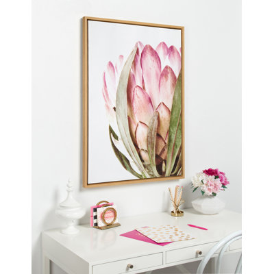 «Pink Protea Flower» par Amy Peterson, reproduction d'art sur toile encadrée