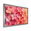 Jadaliz - Floral Wall Art-834594218-834594239-1057488401
