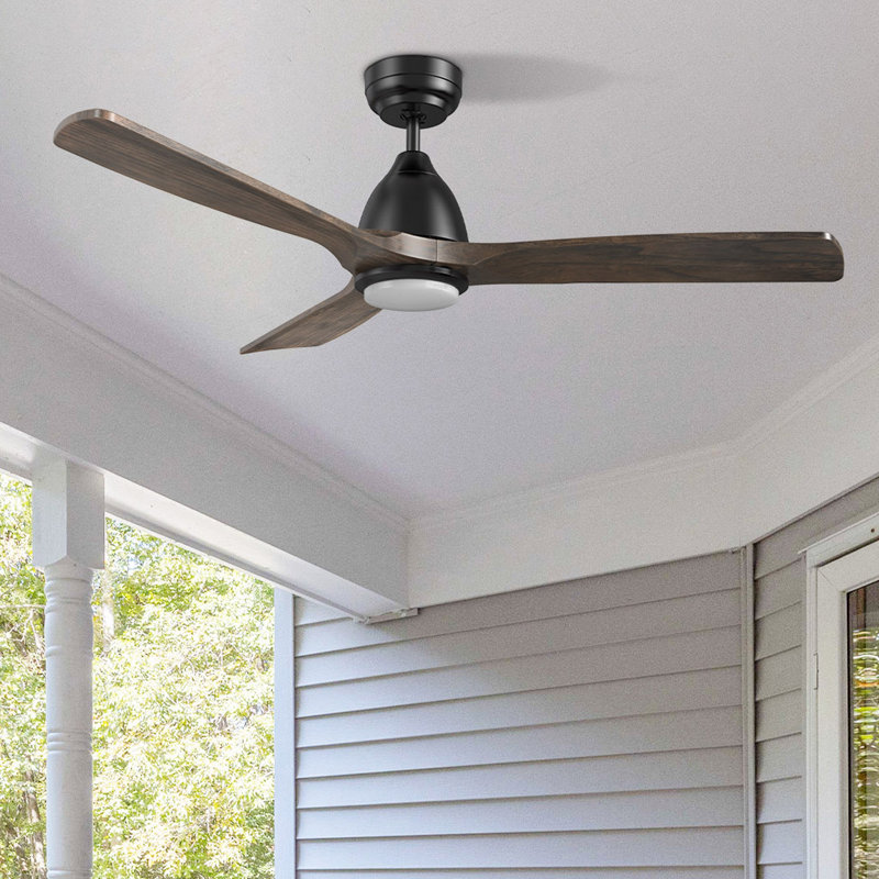Elimelech 48'' Ceiling Fan with LED Lights
