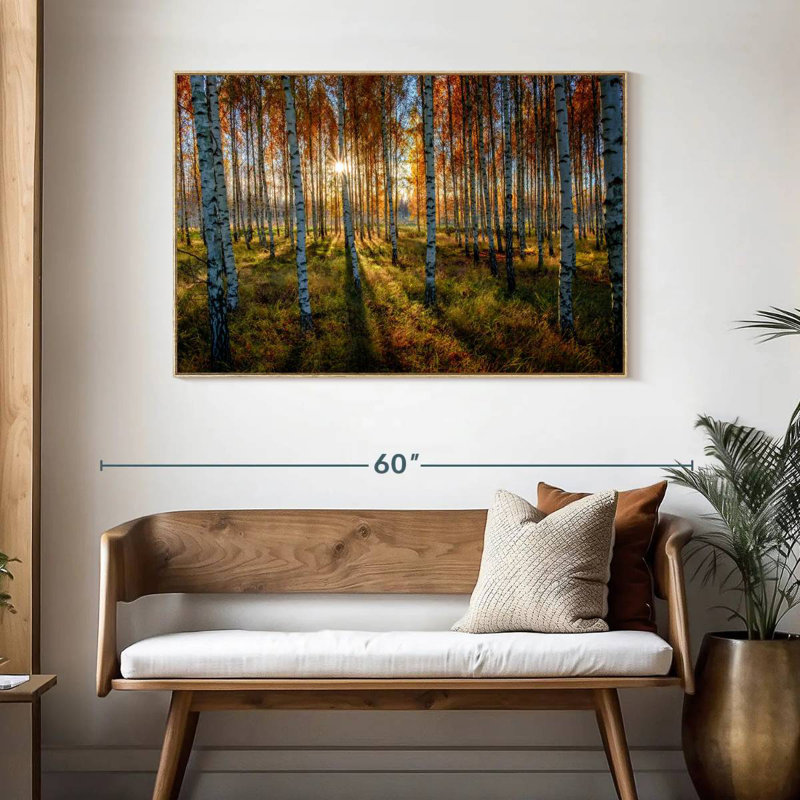 Forêt de bouleaux suédois, Cadre flottant en bois naturel, 46 po x 31 po