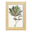 Fall Foliage VI, reproduction d'art encadrée-90582663-90582673