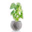 Handmade Pot Planter-52454953
