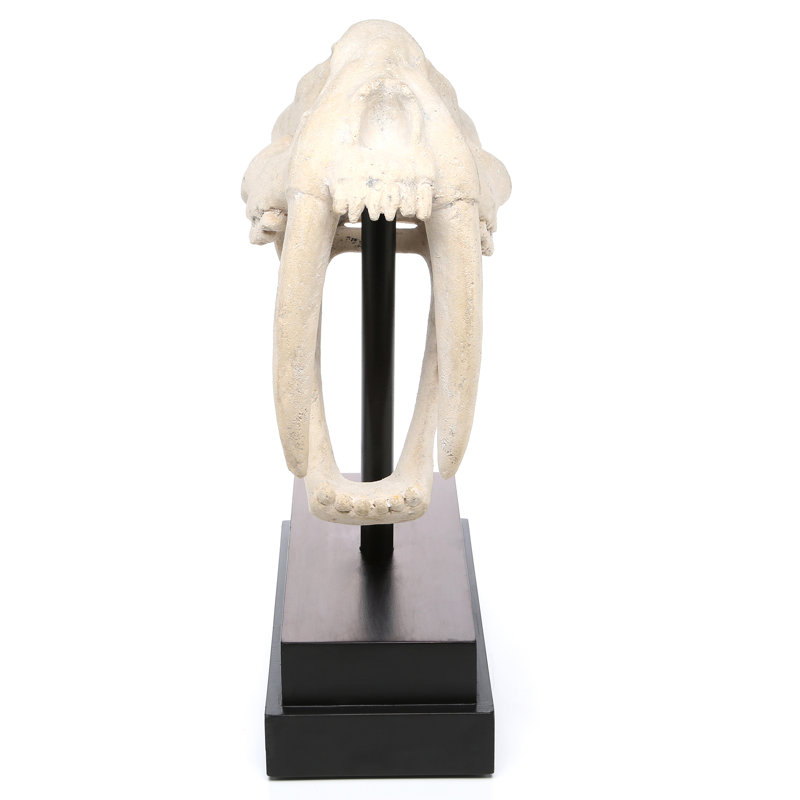 Saber-Toothed Tiger Skull Artifact Figurine