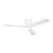 Volos 54'' Ceiling Fan with LED Lights-82941940