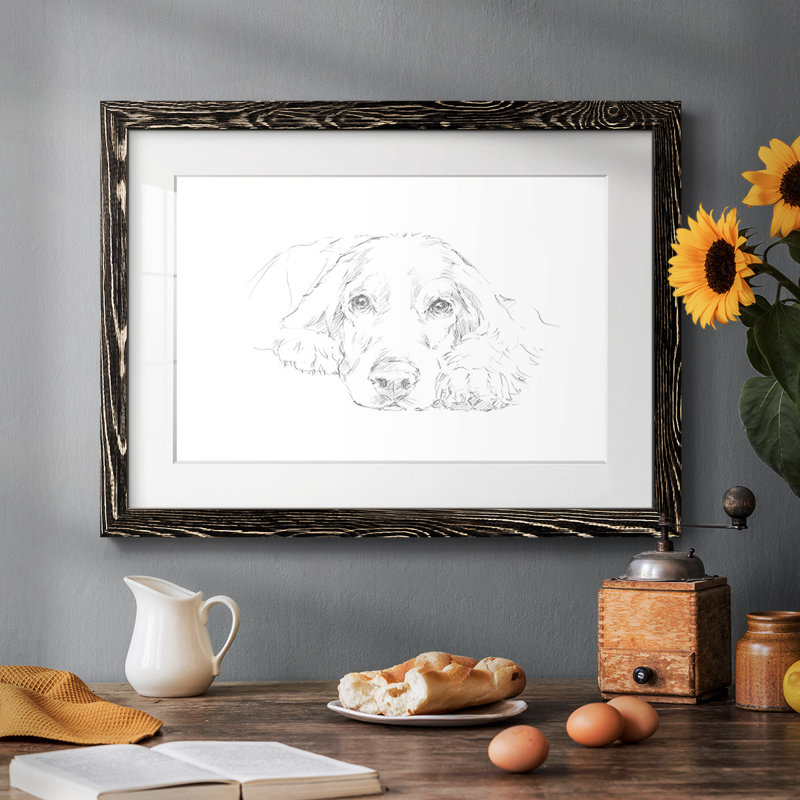 Lazy Dog II, Noir, H 14 po x l 20 po x P 1,5 po