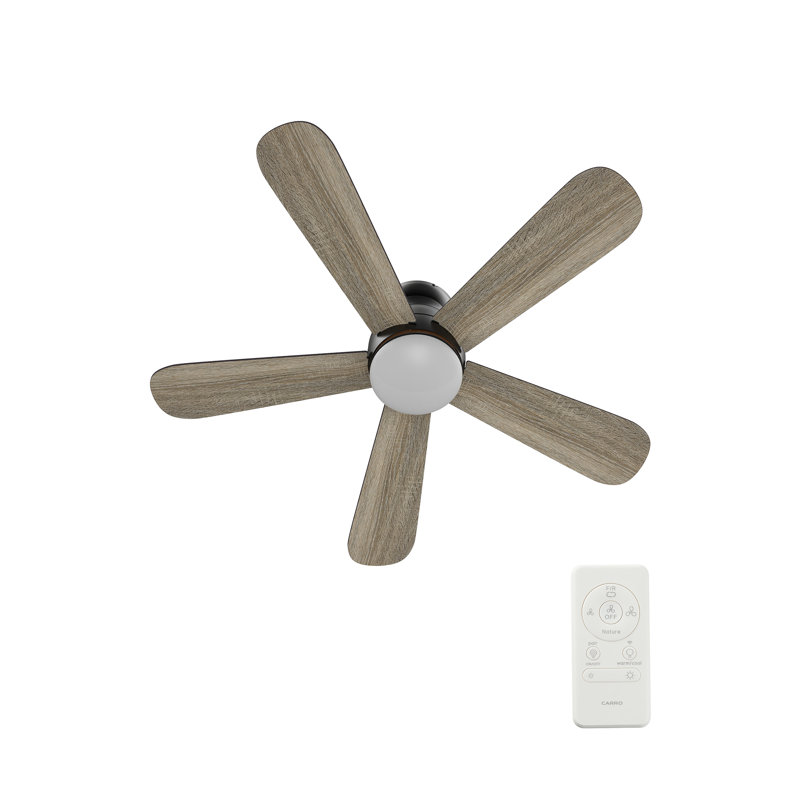Ventilateur de plafond encastré à DEL à 5 pales de 48 po avec télécommande et ensemble d'éclairage inclus., Noir