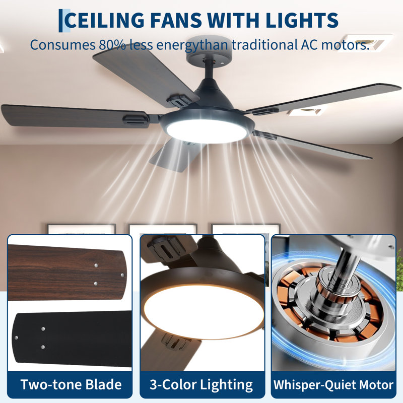 Ceiling Fan, 132, 132cm W, Black