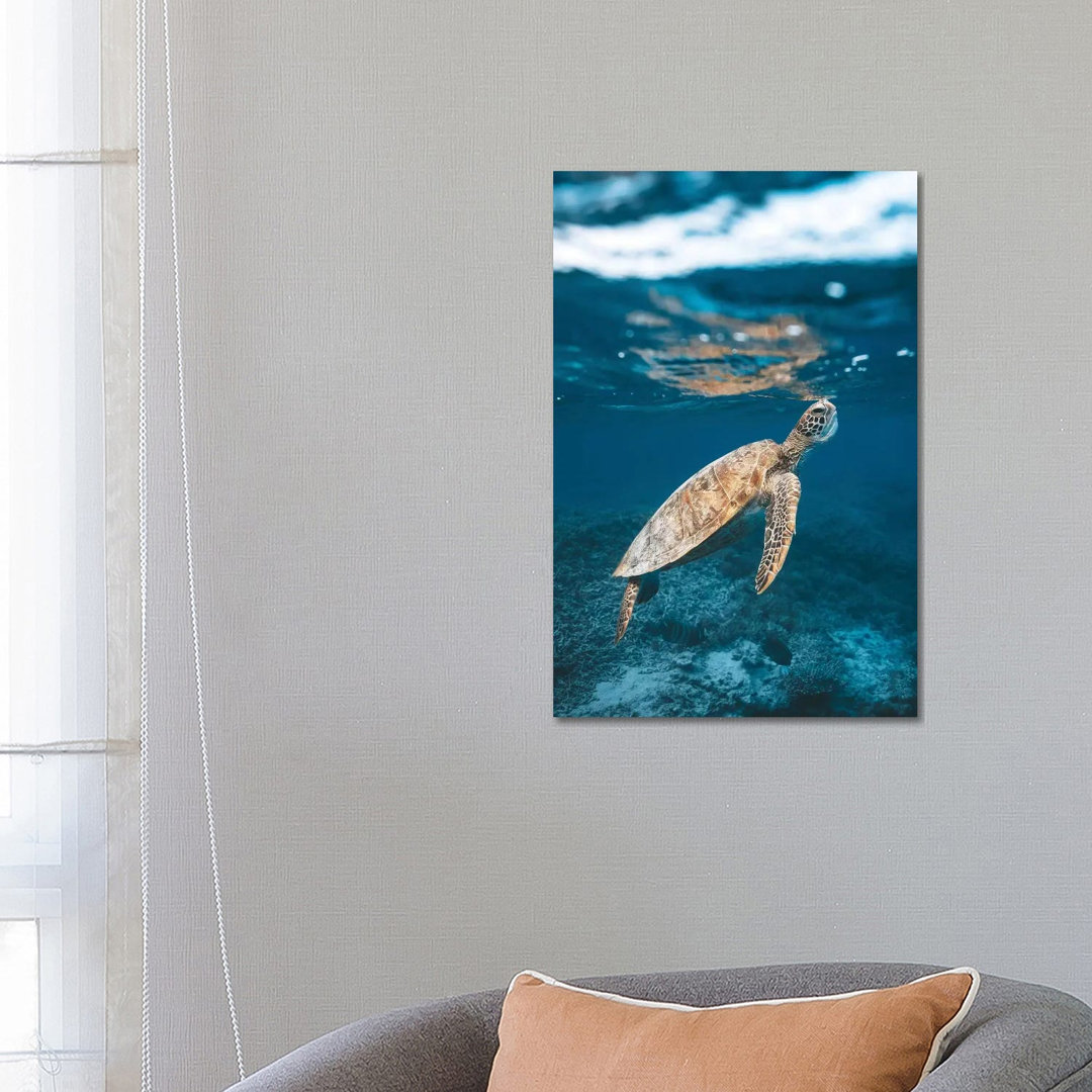 Great Barrier Reef Turtle Underwater by James Vodicka - Wrapped Canvas Gallery-Wrapped Canvas Giclée