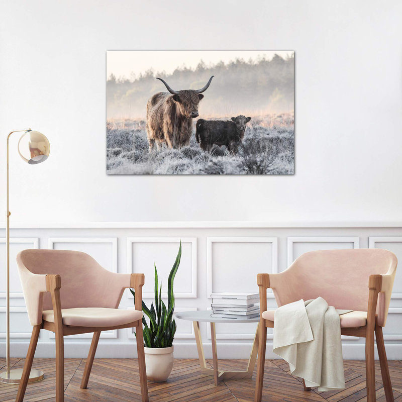 «Highlander and Calf», photographie, Toile tendue, H 8 po x l 12 po x P 0,75 po