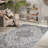 Nieve Traditional Medallion Durable Performance Gray/ Light Pink Area Rug-68026615
