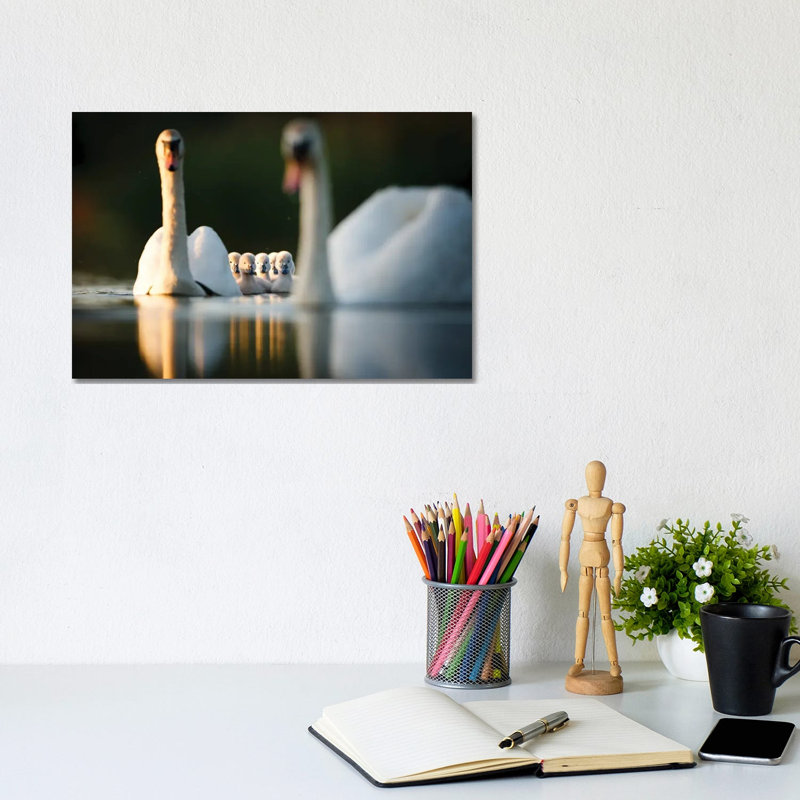 Swan Family by Mateusz Piesiak - Wrapped Canvas Print, 20.32 cm H x 30.48 cm W