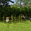 4 Piece Adjustable Height Dog Agility Training Kit With Portable Carry Bag In Yellow - Outfit Jump Bars And Case