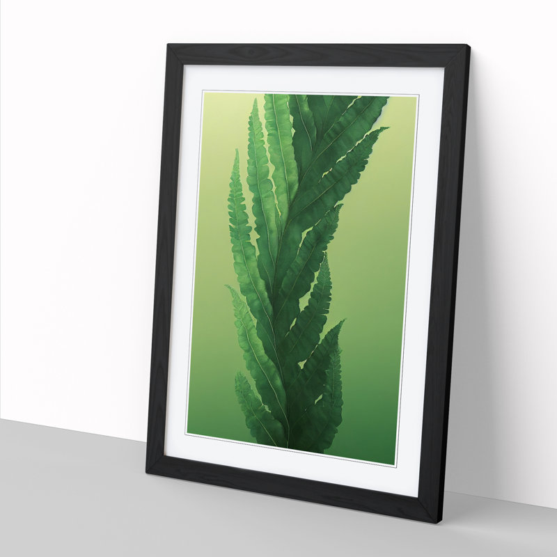 Arbaaz Fern Leaf In Watercolour Vol.1 - Single Picture Frame Print, Black, 64cm H x 46cm W x 2cm D