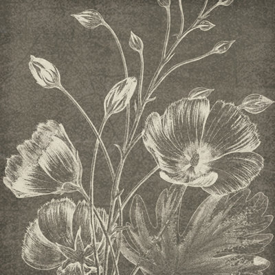 Beauté botanique, craie, carré